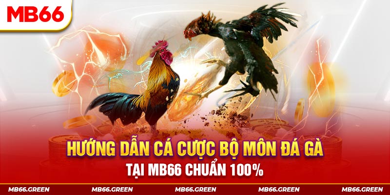 95vn kết quả xổ số miền bắc ngày hôm nay