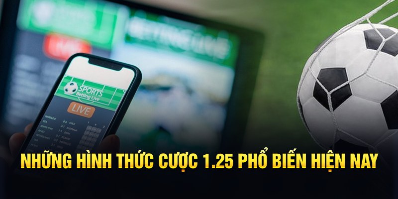 95vn 2 slot là gì