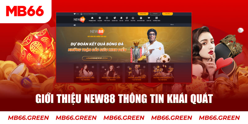 95vn c1 gà chọi
