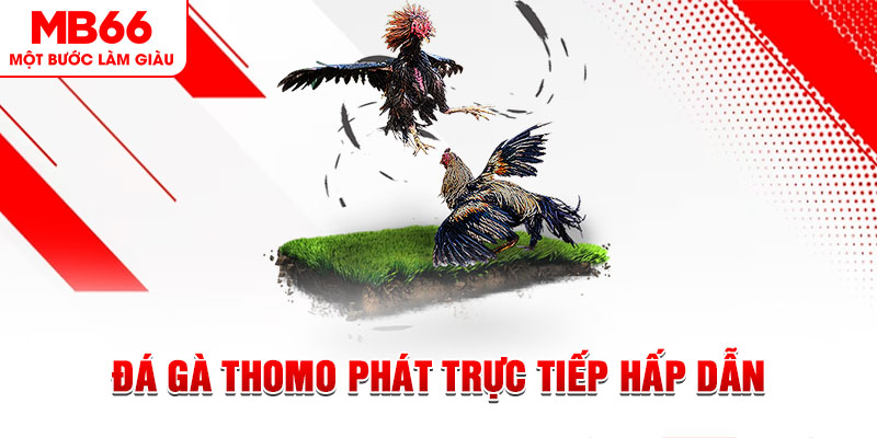 95vn xổ số thứ tư