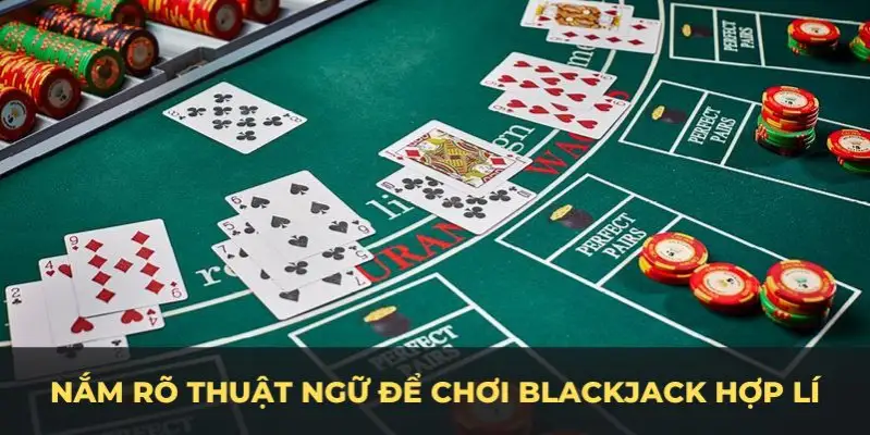 95vn esport la gì