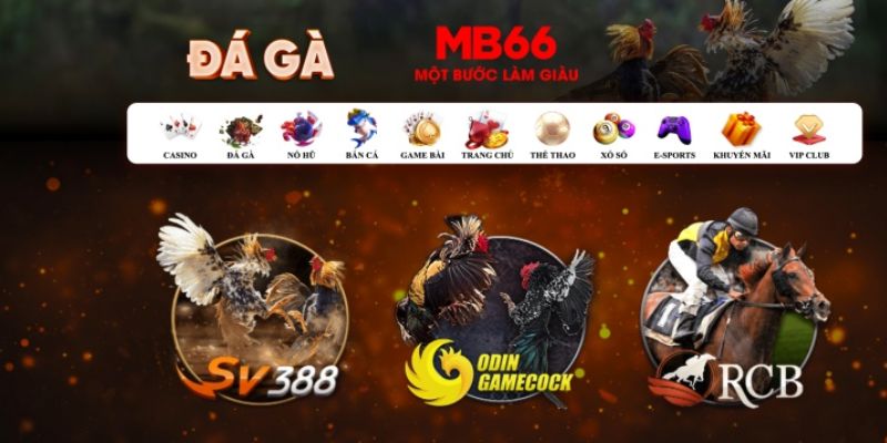 95vn what is casino bonus wagering