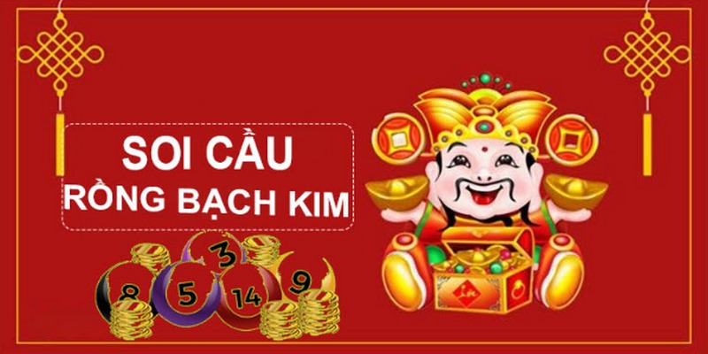 95vn gà chọi