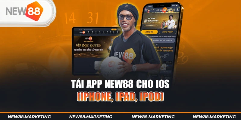 95vn gà chọi cậu thanh