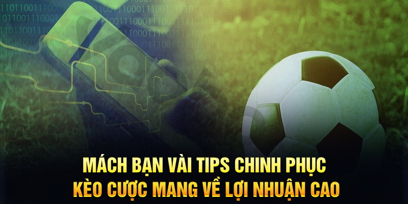95vn đăng nhập phỏm hàng đầu
