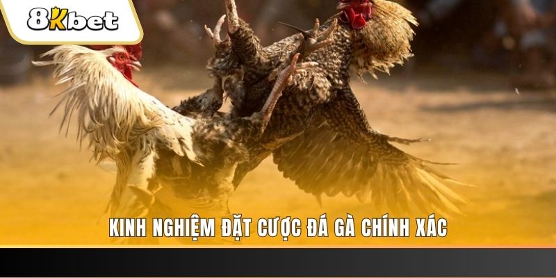 95vn xổ số thứ bảy hàng tuần