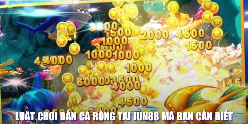 95vn xổ số đài hà nội