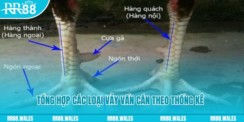 95vn xổ số miền nam thứ sáu
