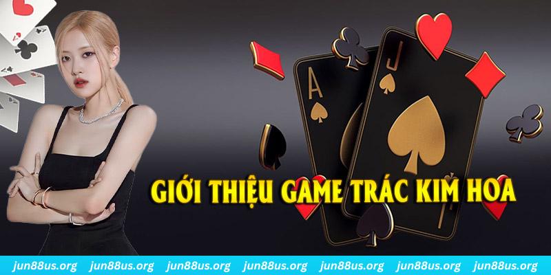 95vn how to play roulette casino