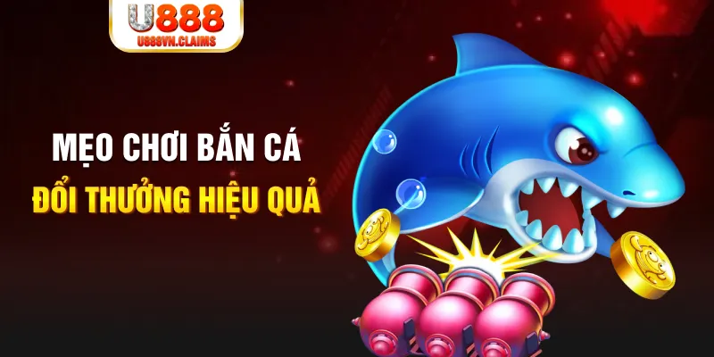 95vn gà chọi cam ranh