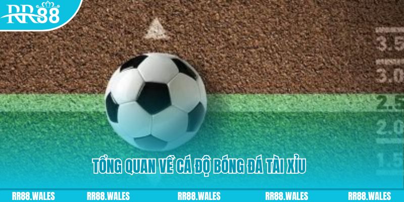 95vn đăng nhập roulette online