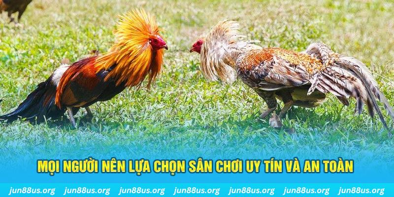 95vn Cỡ bảy