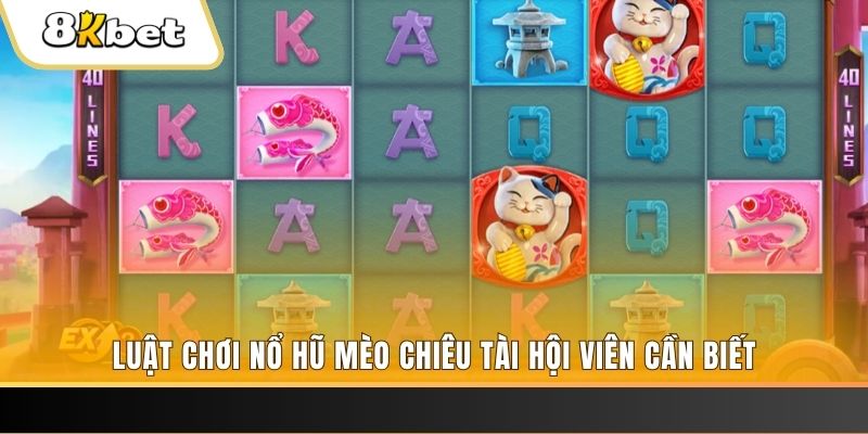 95vn gà chọi cu cần