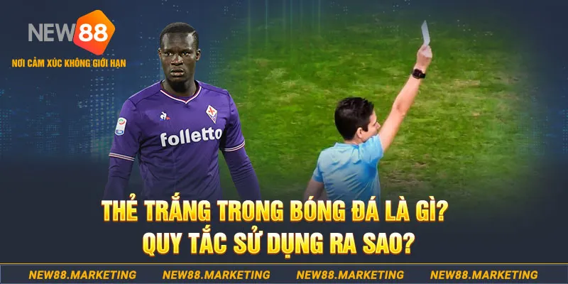 95vn đăng nhập sòng bạc hôm nay