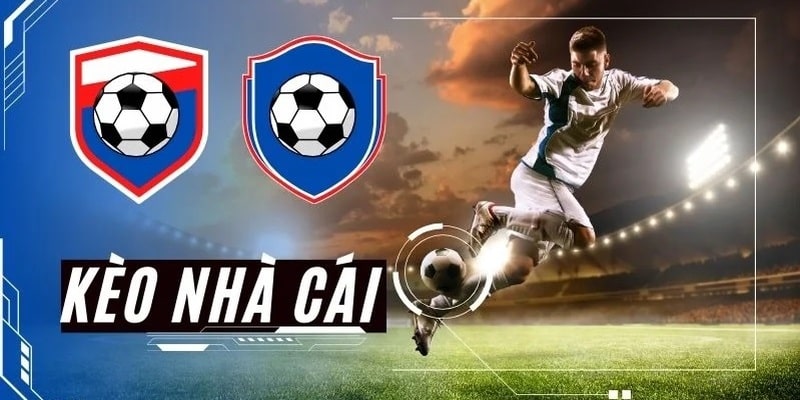 95vn slot nghĩa la gì