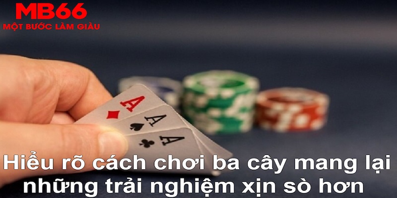 95vn ÁT CHỦ MÁY HOA QUẢ THẦN TÀI
