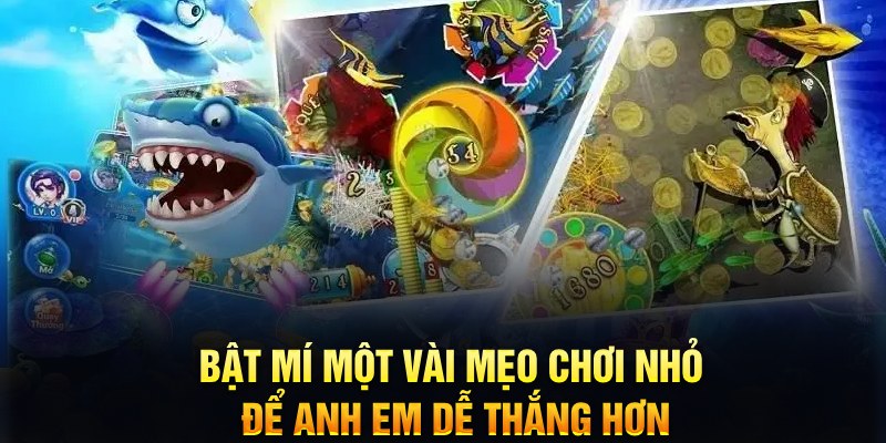 95vn xổ số thứ ba