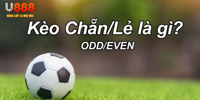 95vn đăng nhập sòng bạc 2024