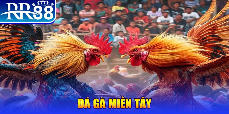 95vn người chia bài trong casino gọi là gì