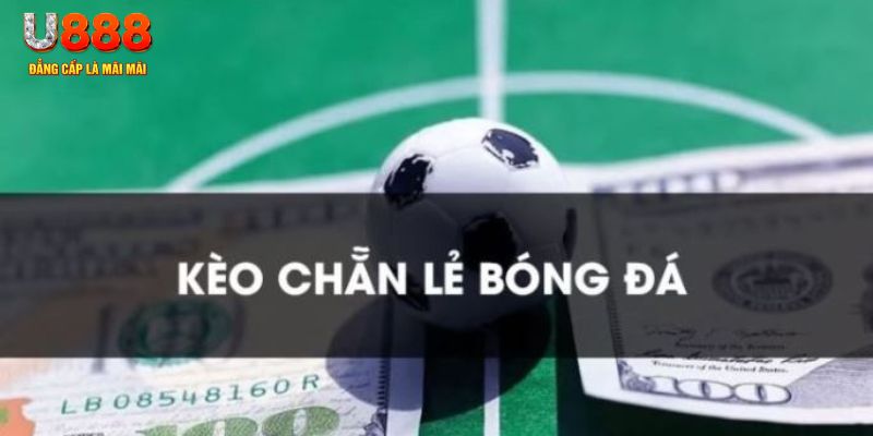95vn gà chọi c1.tv