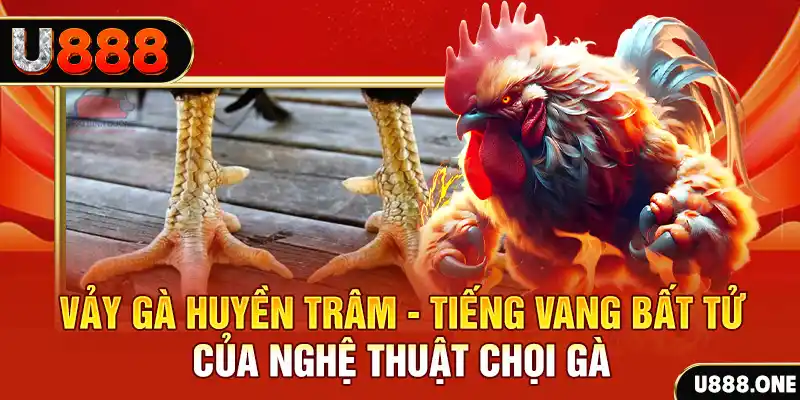 95vn xổ số trực tiếp miền bắc